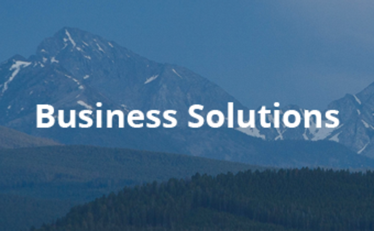 text: Business Solutions